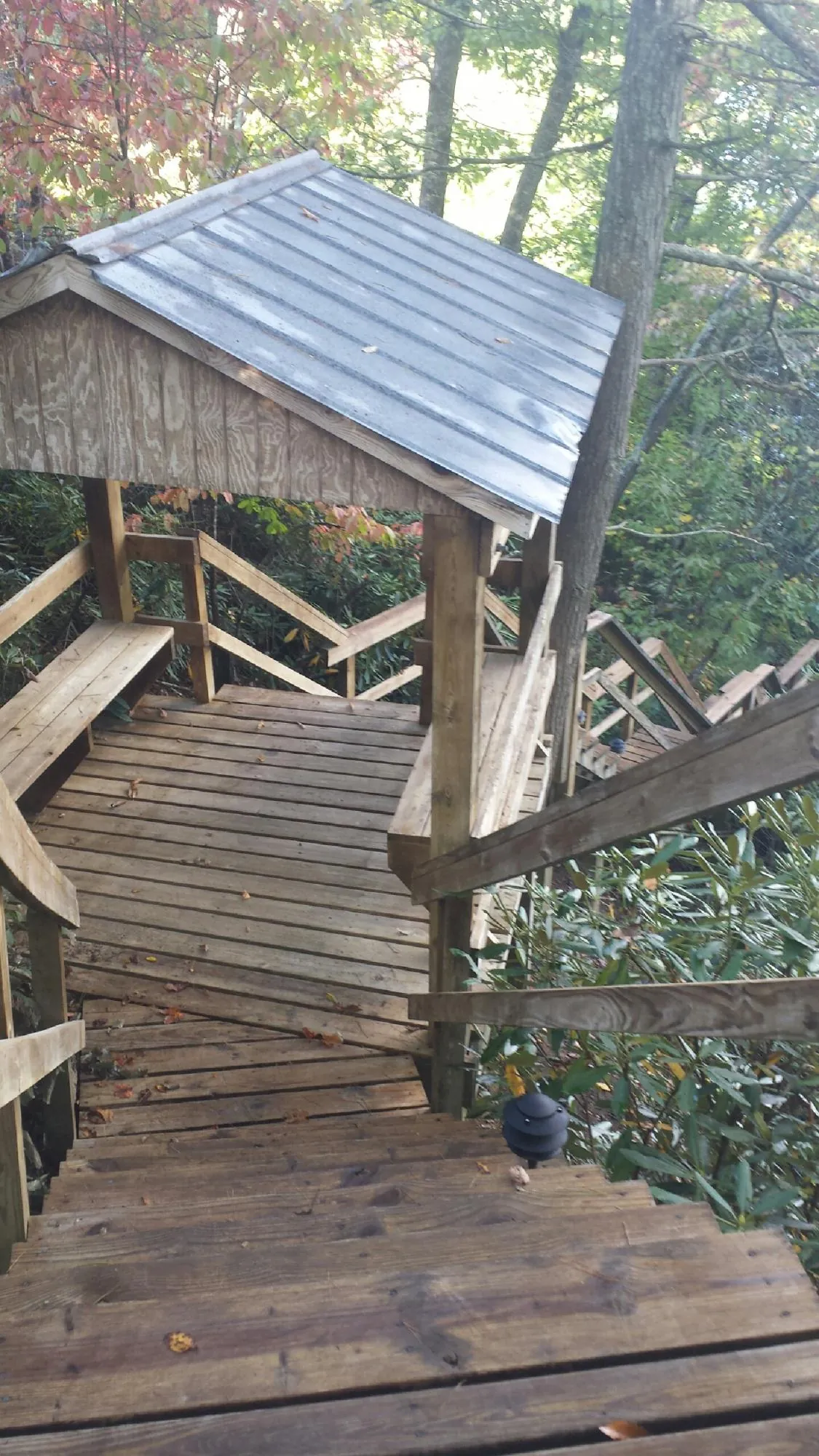 Metal roofed shelter over wooden steps on a wooded walkway in Warrensburg